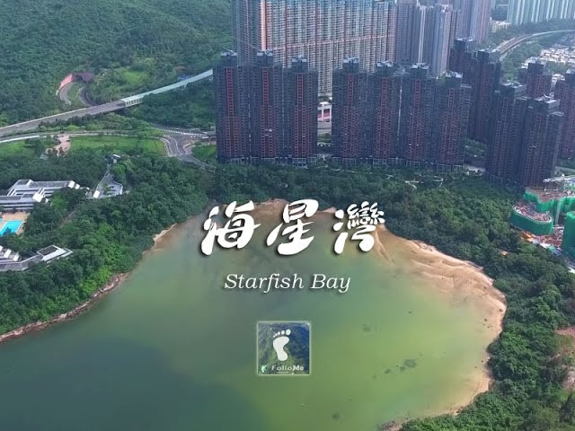 星之海 － 海星灣 (Starfish Bay) [4K航拍]