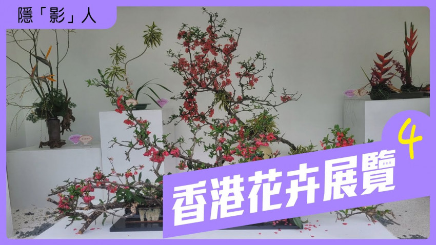 香港花卉展覽 第4集