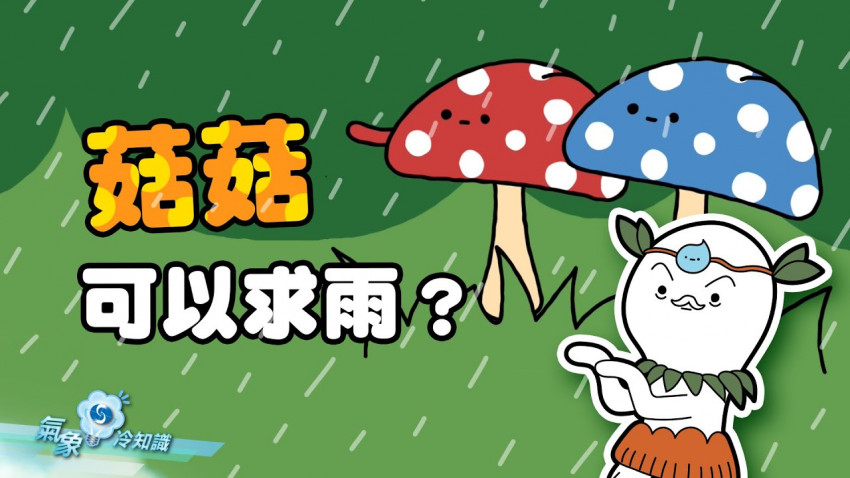 菇菇可以求雨？