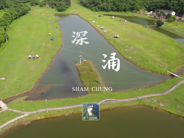 奔向青草地 － 深涌