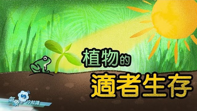  植物的適者生存